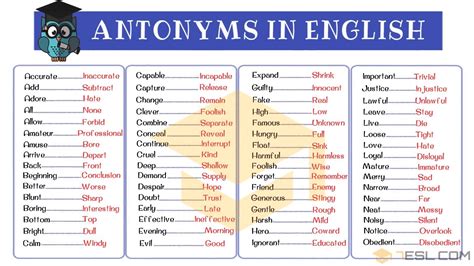 antonyms of conclusive|opposite of conclusive antonym.